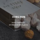 코코호도자양점