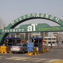 양재시장 이미지