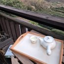 도시고양이생존연구소 이미지