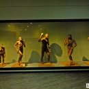 계룡산자연사박물관 이미지