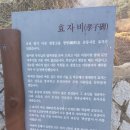 신세월 네이버블로그