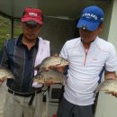 실리곡낚시터 이미지