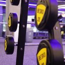 서울스포렉스 이미지