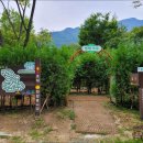 문경새재 생태미로공원 이미지