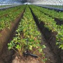 지리산덕천강마을 이미지