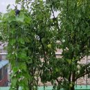 사계절노래방 이미지