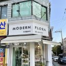 모던플로라