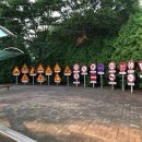 백석어린이공원 | 아이들과 함께하는 교통안전 교육의 명소, 고양시 어린이교통공원! 🚦