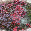 019-문산-019 이미지