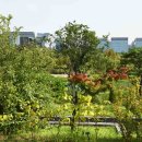 서울식물원 이미지