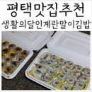 광이김밥 이미지