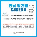 울진동물약국(울진메디칼약국) | 강아지심장사상충주사vs 약, 어떤걸 선택해야 될까?<15년 차 수의사가 알려드립니다>