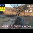 상리농장 네이버블로그