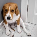 구석자리 이미지