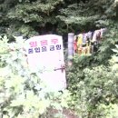 짱아님의 6차 (빼재~~ 부항령) 나 홀로 산행 기 ^^ 이미지