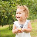 뱅크베이비