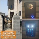 세종비디오