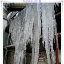 설원(雪原)을 만끽한 신년산행 / 철원 광덕산(1.046m)~상해봉(1,010m) 이미지