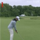 홀인원보다 더 어려운 샷을 날린 골프선수 ㅋㅋㅋ 이미지