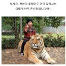 무대포