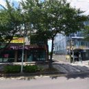 옵티마힐링약국 이미지