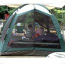 캠프타운 알프스 원터치 자동 텐트 판매 합니다. 이미지