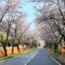 서익산농협웅포지점 이미지