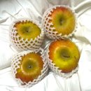 의성4농장 | 산지직송 맛있는사과 제철과일 맛집 싱싱보따리 의성 부사 사과 1kg 당일배송 가정용과일 추천