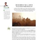 보이차&홍차 티 소믈리에 이미지