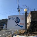 패밀리애