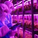 넥스트온 이미지