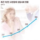 머리채 Daum카페