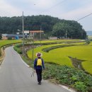 팔봉초등학교 이미지