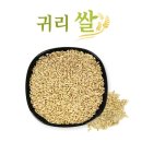 잡곡집