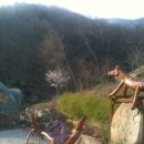 방장산 농장 이미지