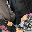 24년 10월 대전 당일치기 여행