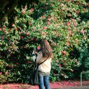 (주)신화렌트카 | 제주 숙박세일페스타로 신화월드를 추천하는 이유