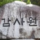 '웹소설 부업' 5년간 8억, 상가 29채 '임대왕' 공무원…"겸직 위반" 이미지