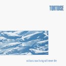 포스트 록(POST ROCK)의 지도 그리기, 그 첫번째 이야기 'TORTOISE' 이미지