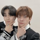 고양이정원 - 강서구 개화동로19길 18 | 고양이정원