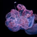 보물바다 이미지