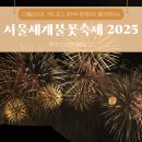 내년에 꼭 또 간다 여의도 '서울세계불꽃축제 2025' 명당 사진 찍는 꿀팁 후기