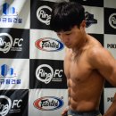 링 종합격투기 이미지