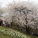 숲속쉼터옆 이미지