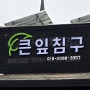 빅리프베딩