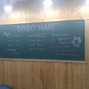 헤어도도 이미지