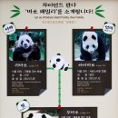 판다네 이미지