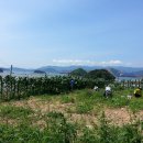 가덕농장 이미지