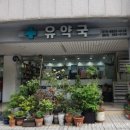 유약국 네이버블로그