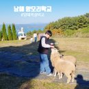 이&장 목장 | 남해 양떼목장 비교 양모리학교 깡통 기차 무료네요